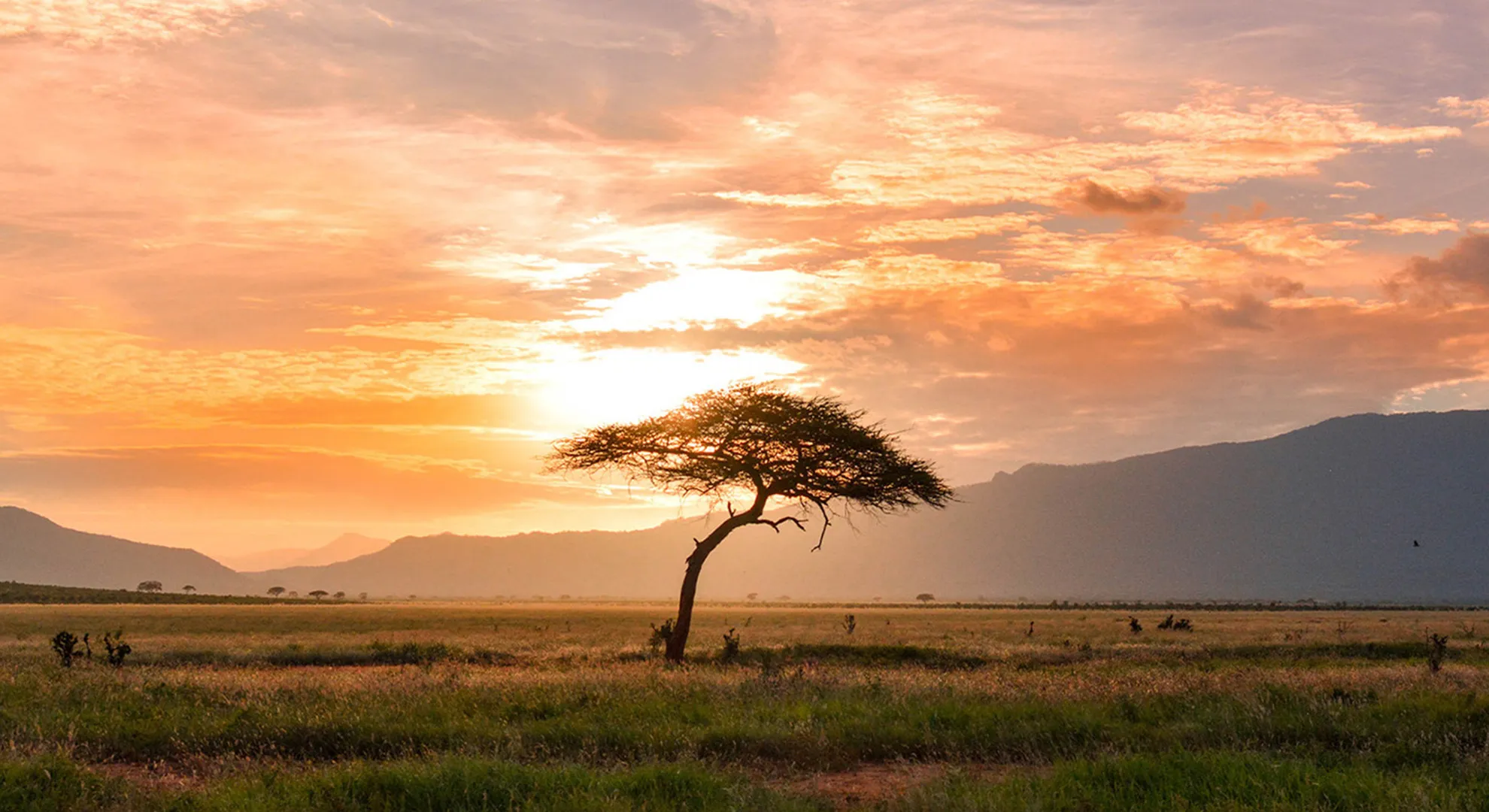 GELDSPENDE STATT WEIHNACHTS­GESCHENKE